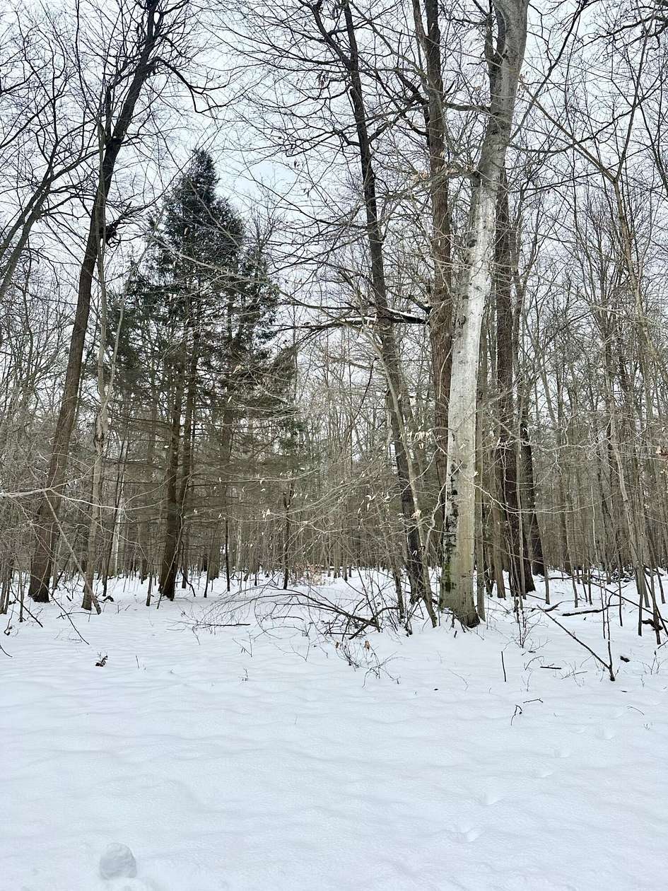 3.69 Acres of Residential Land for Sale in Muskegon, Michigan