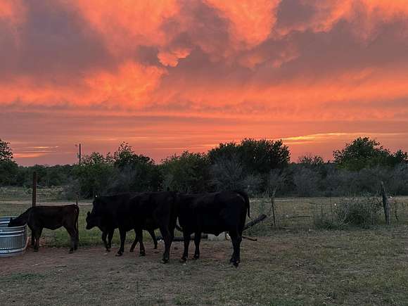 10 Acres of Agricultural Land for Sale in Marble Falls, Texas