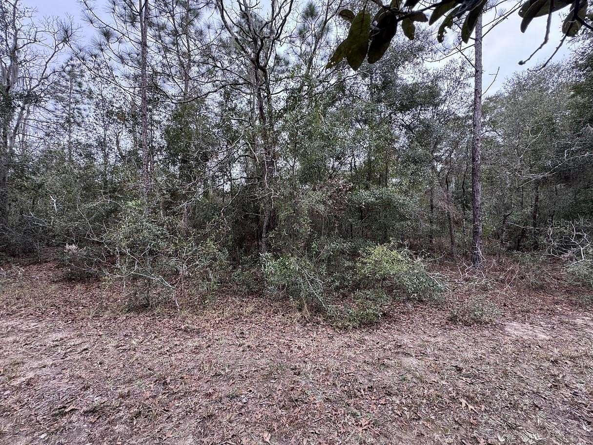 0.23 Acres of Residential Land for Sale in Williston, Florida