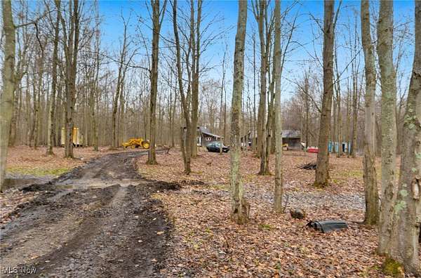 20 Acres of Recreational Land with Home for Sale in Conneaut, Ohio