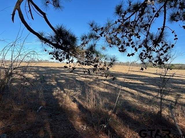 111.7 Acres of Recreational Land & Farm for Sale in Winnsboro, Texas