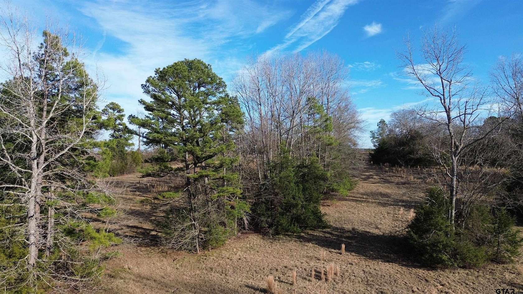 112 Acres of Land for Sale in Winnsboro, Texas