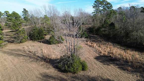 111.7 Acres of Recreational Land & Farm for Sale in Winnsboro, Texas