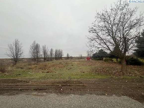 0.4 Acres of Residential Land for Sale in Mesa, Washington