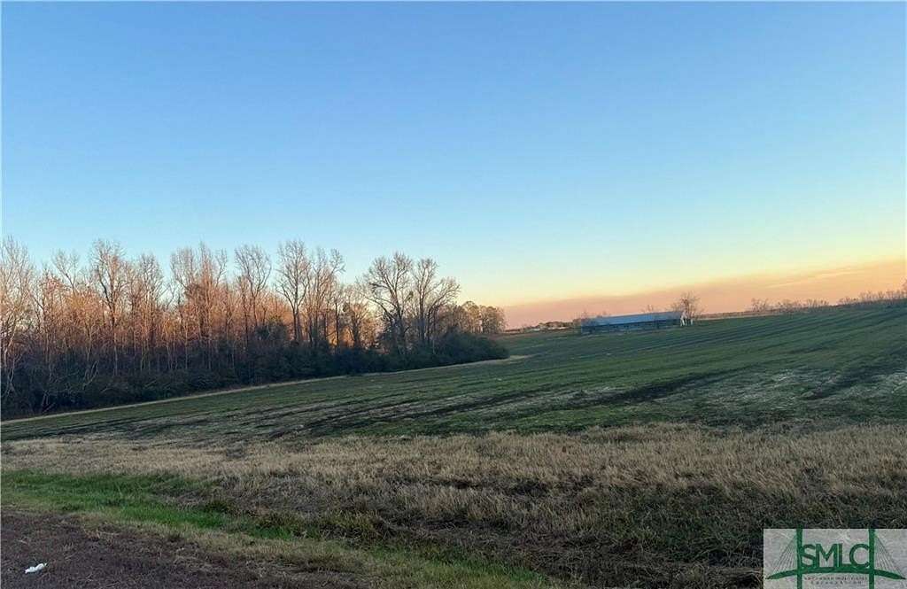 26.95 Acres of Agricultural Land with Home for Sale in Sylvania, Georgia