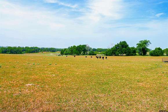 143 Acres of Land for Sale in LaRue, Texas