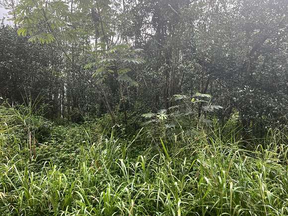 0.185 Acres of Residential Land for Sale in Pahoa, Hawaii