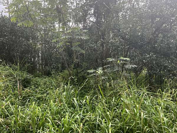 0.18 Acres of Residential Land for Sale in Pahoa, Hawaii
