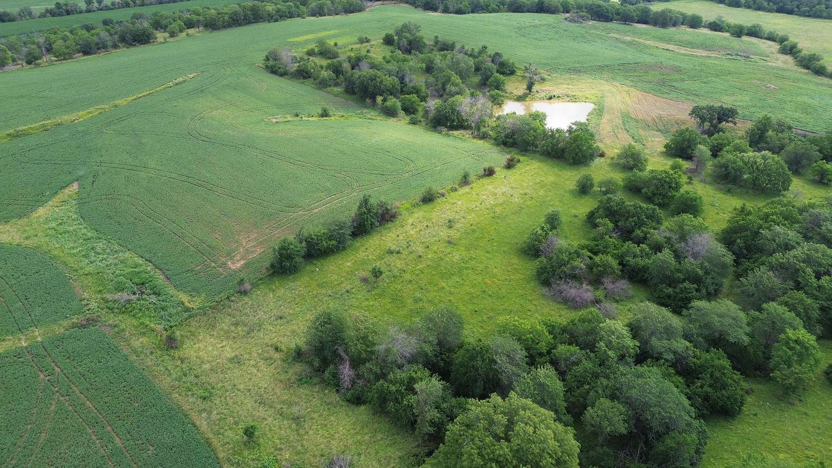 30 Acres of Recreational Land & Farm for Sale in Melcher-Dallas, Iowa