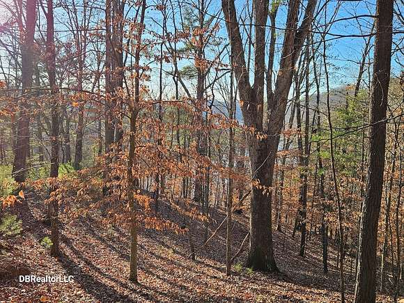 2.47 Acres of Land for Sale in Hiwassee, Virginia