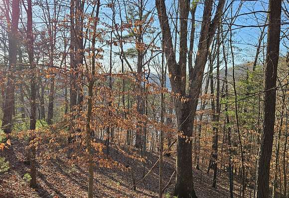 2.47 Acres of Land for Sale in Hiwassee, Virginia