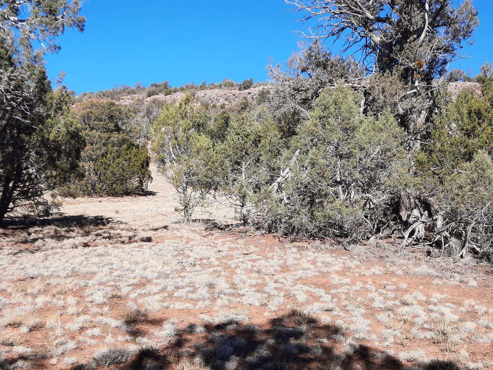 1.01 Acres of Land for Sale in Seligman, Arizona