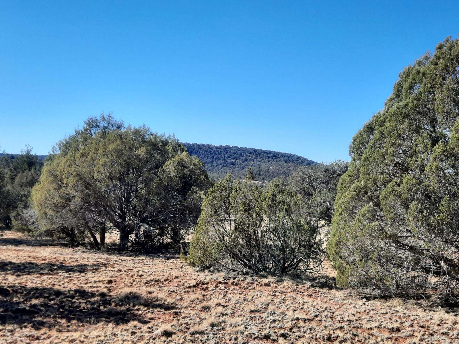 1.12 Acres of Land for Sale in Seligman, Arizona