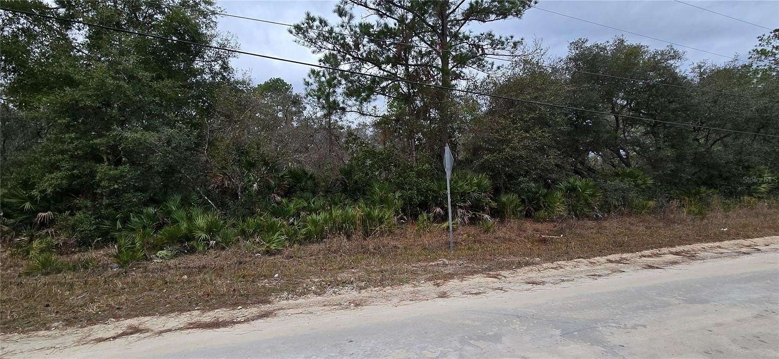 0.51 Acres of Residential Land for Sale in Citra, Florida