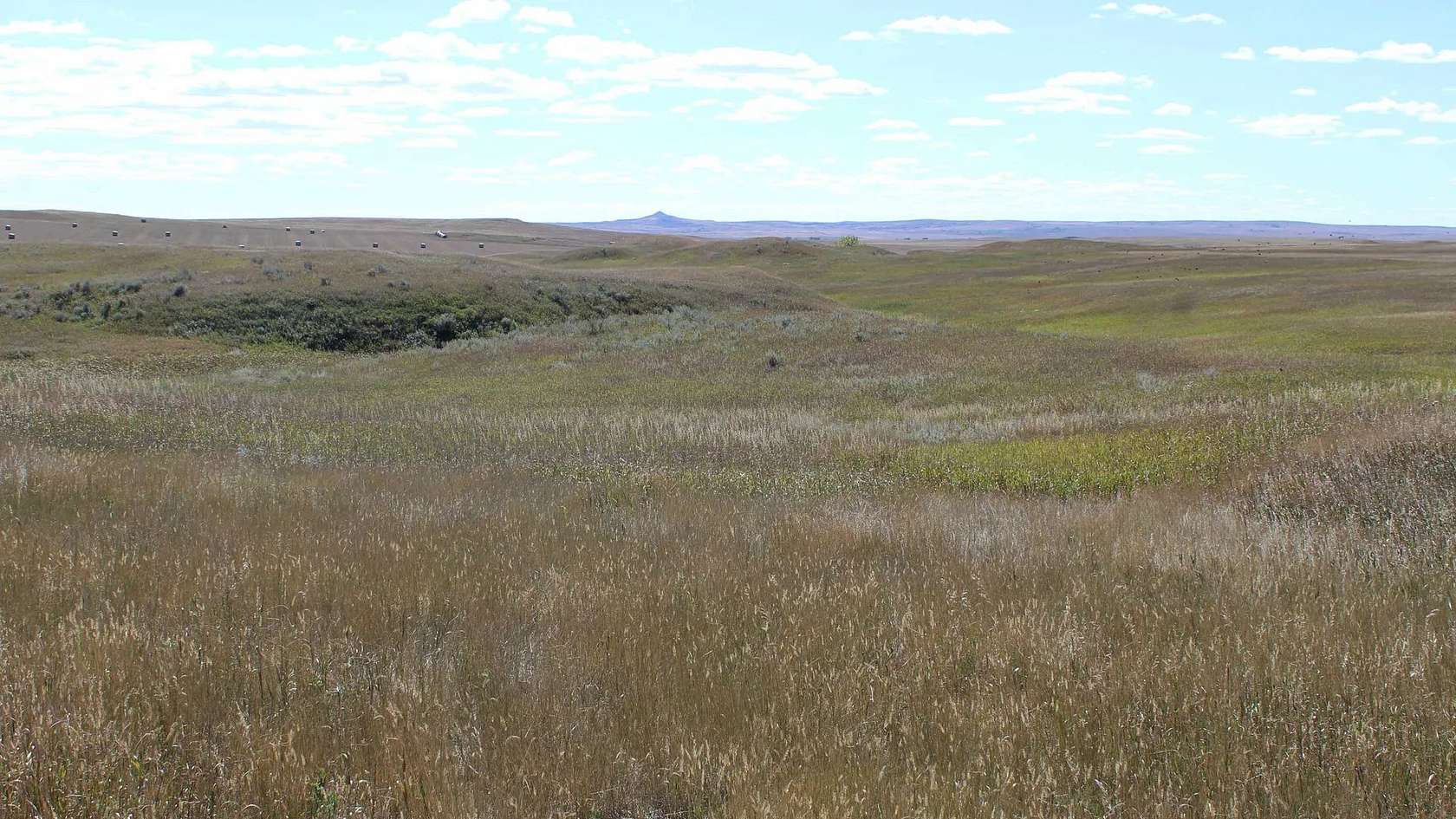 480 Acres of Recreational Land & Farm for Sale in Bison, South Dakota