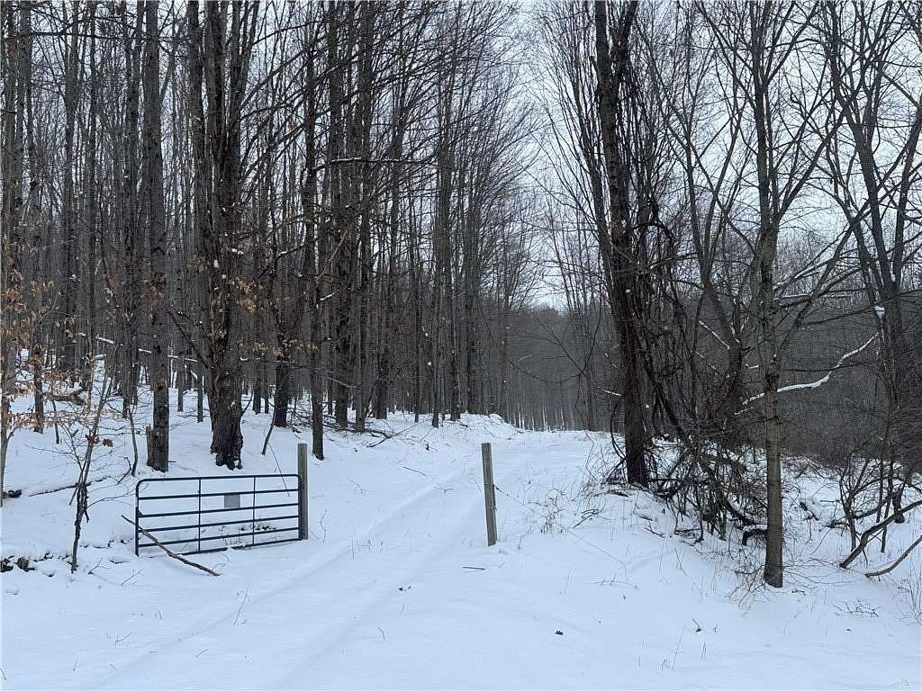 26.24 Acres of Land for Sale in Milford, New York