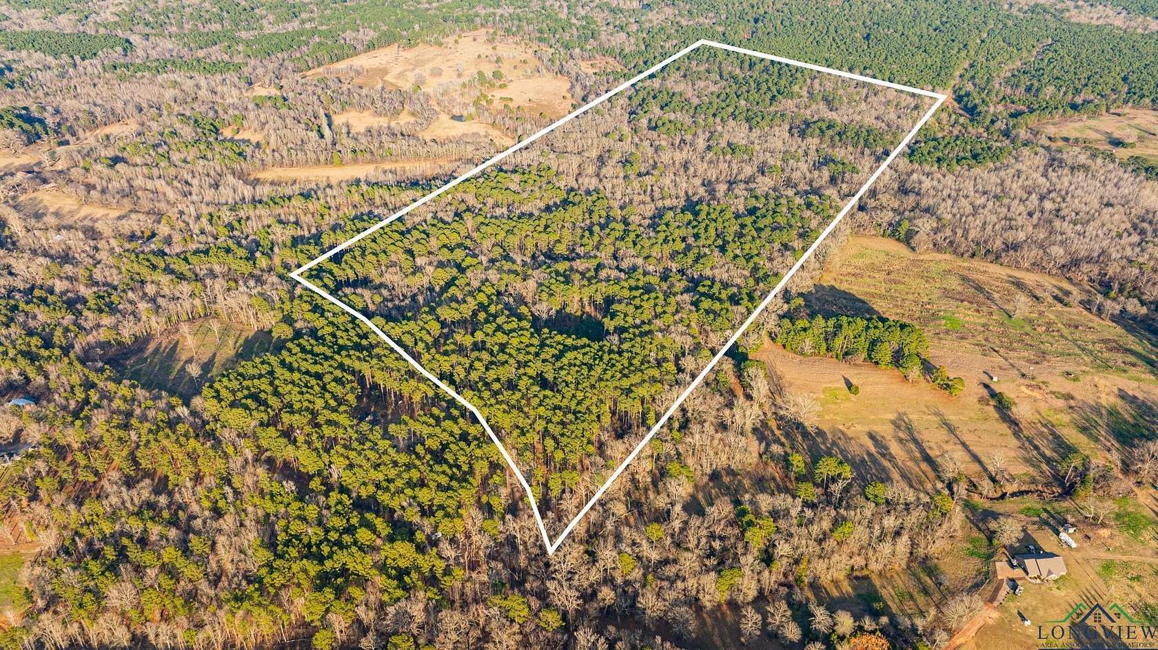 99.61 Acres of Land for Sale in Gilmer, Texas