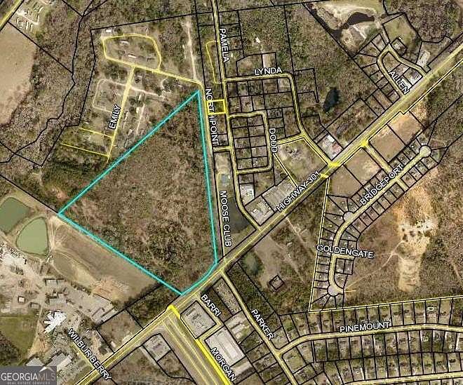 38.6 Acres of Land for Sale in Statesboro, Georgia