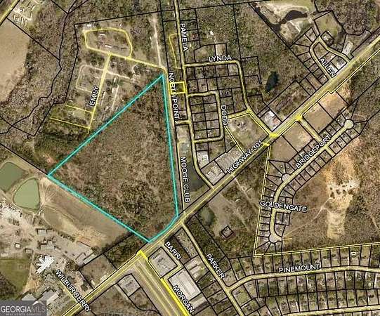 38.6 Acres of Land for Sale in Statesboro, Georgia