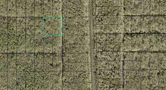 2 Acres of Residential Land for Sale in Hastings, Florida