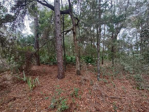 0.44 Acres of Land for Sale in Crystal River, Florida