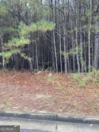 0.29 Acres of Residential Land for Sale in Stone Mountain, Georgia