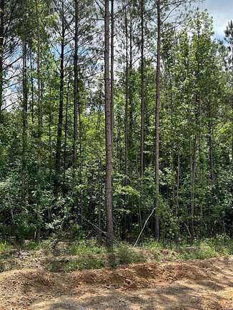 4.59 Acres of Residential Land for Sale in Glenwood, Arkansas - LandSearch