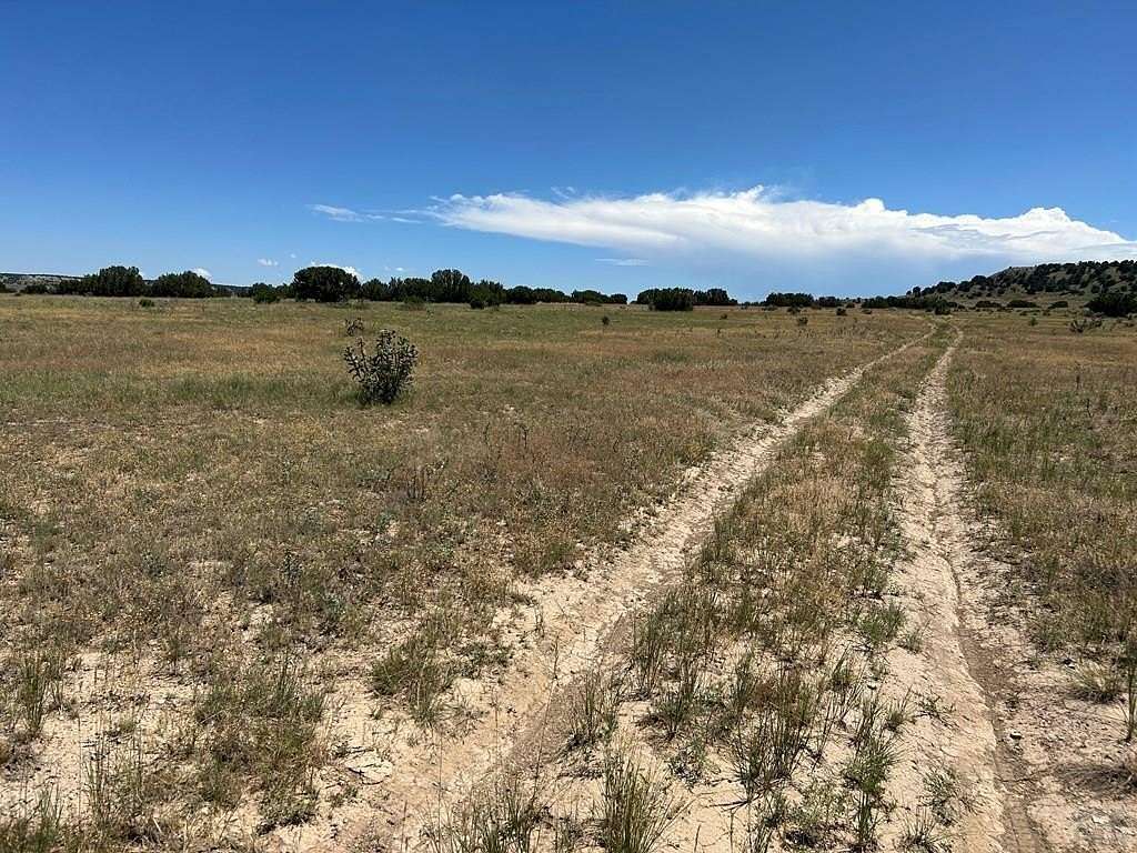 38.8 Acres of Recreational Land for Sale in Model, Colorado