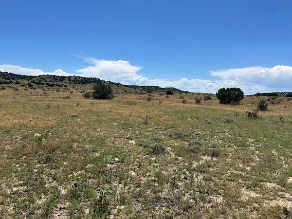 38 Acres of Land for Sale in Model, Colorado