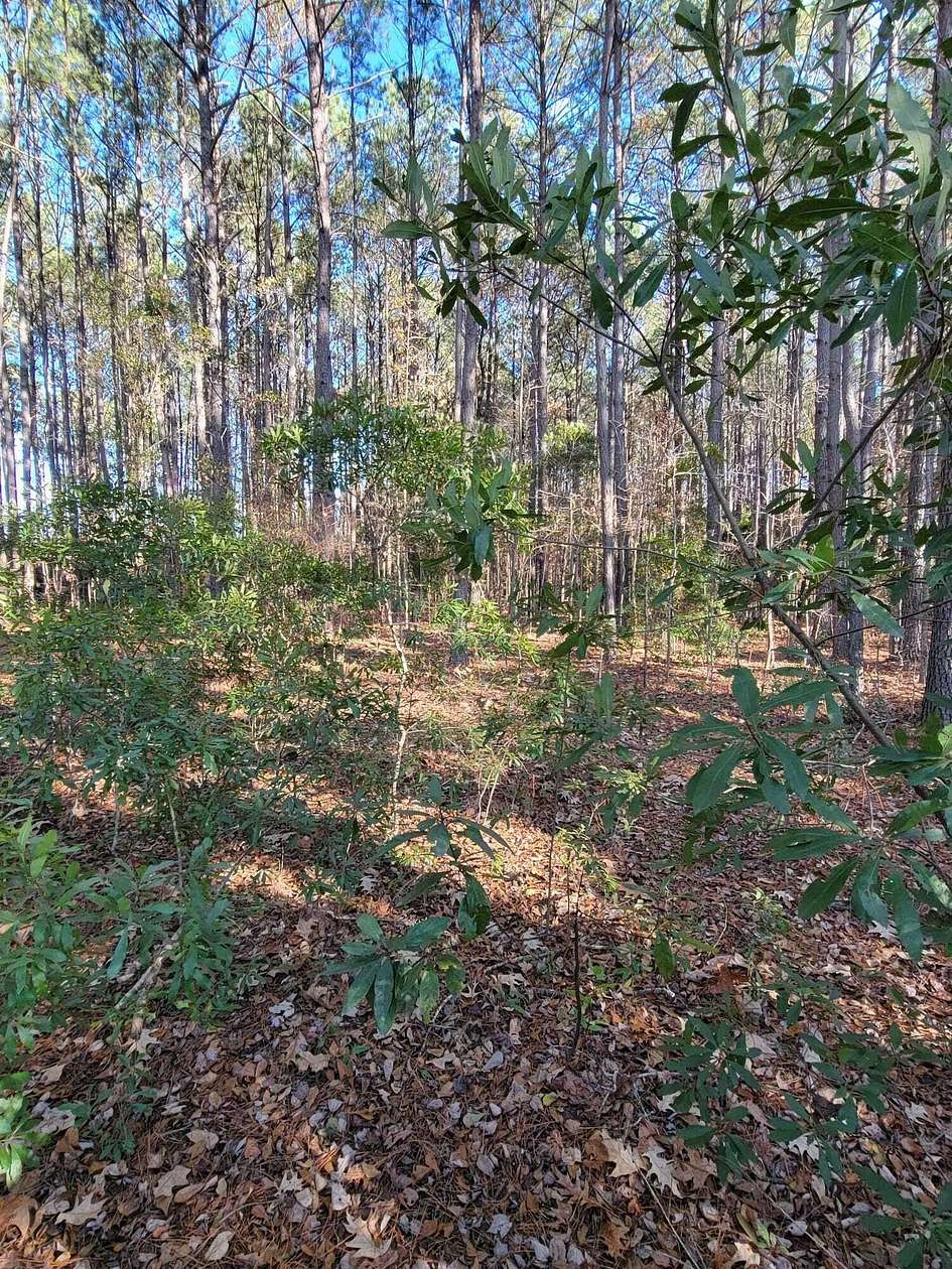 1.5 Acres of Residential Land for Sale in Moncks Corner, South Carolina