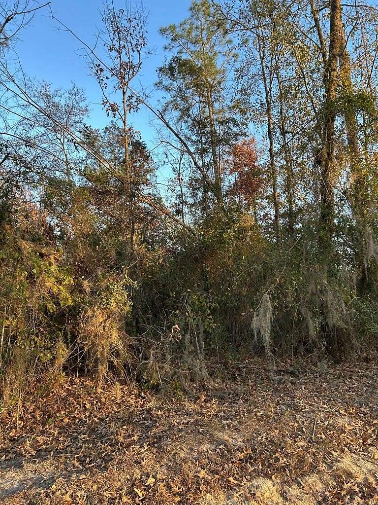 0.29 Acres of Residential Land for Sale in Donalsonville, Georgia