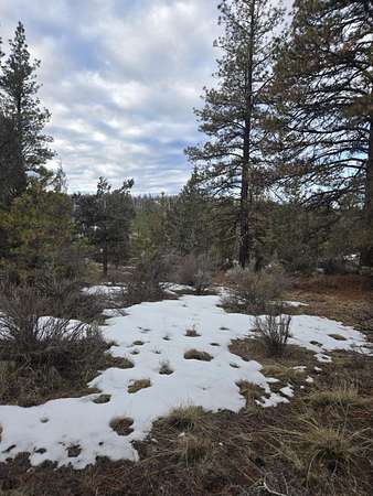 4.1 Acres of Residential Land for Sale in Bonanza, Oregon