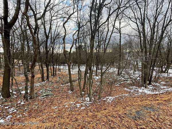 1 Acre of Residential Land for Sale in Albrightsville, Pennsylvania