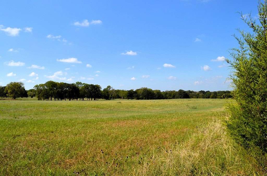 2 Acres of Residential Land with Home for Sale in Mabank, Texas