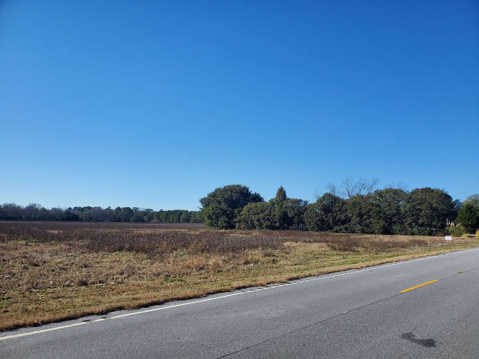 51 Acres of Land for Auction in Hartsville, South Carolina