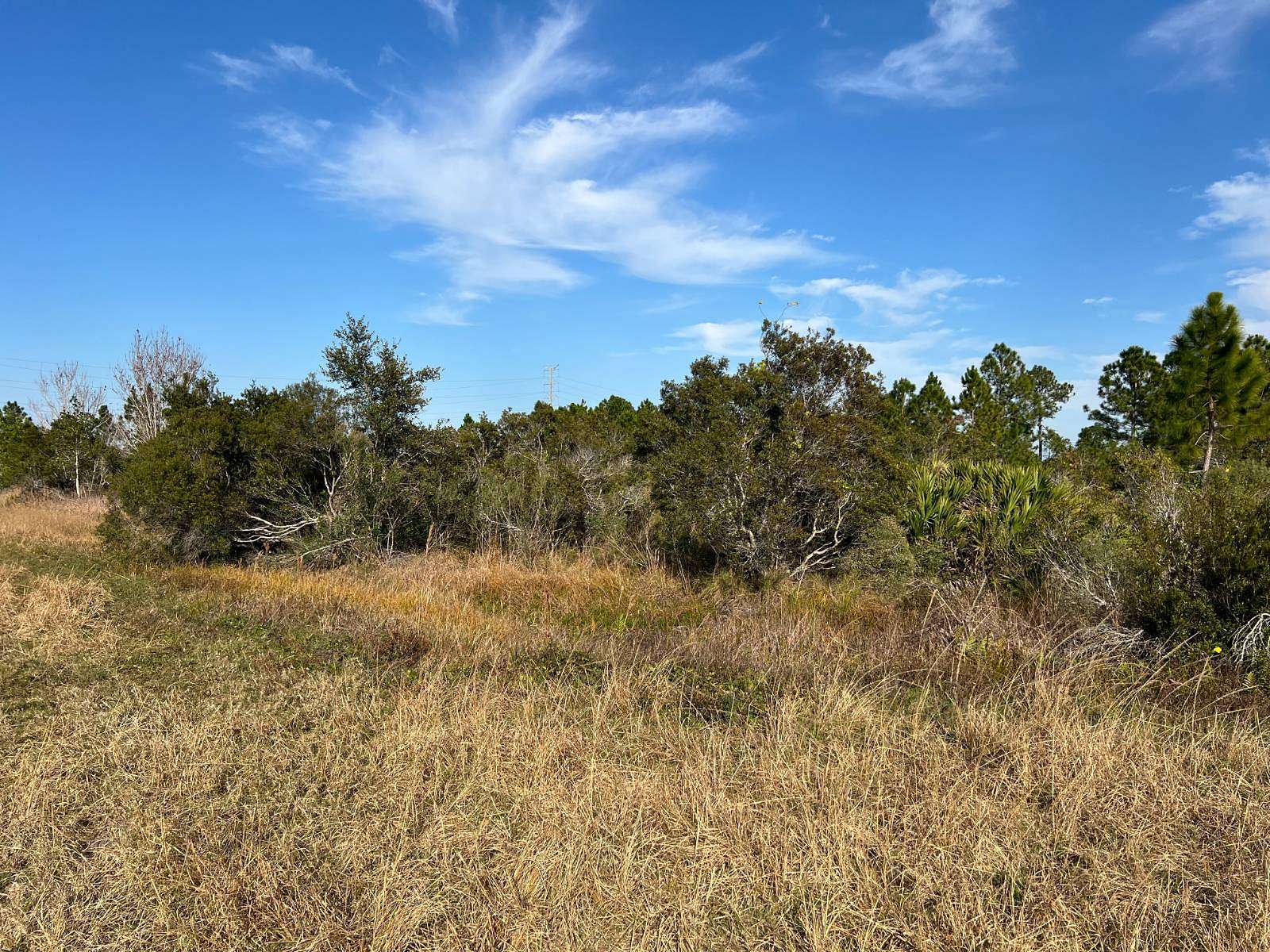 2.5 Acres of Residential Land for Sale in Avon Park, Florida