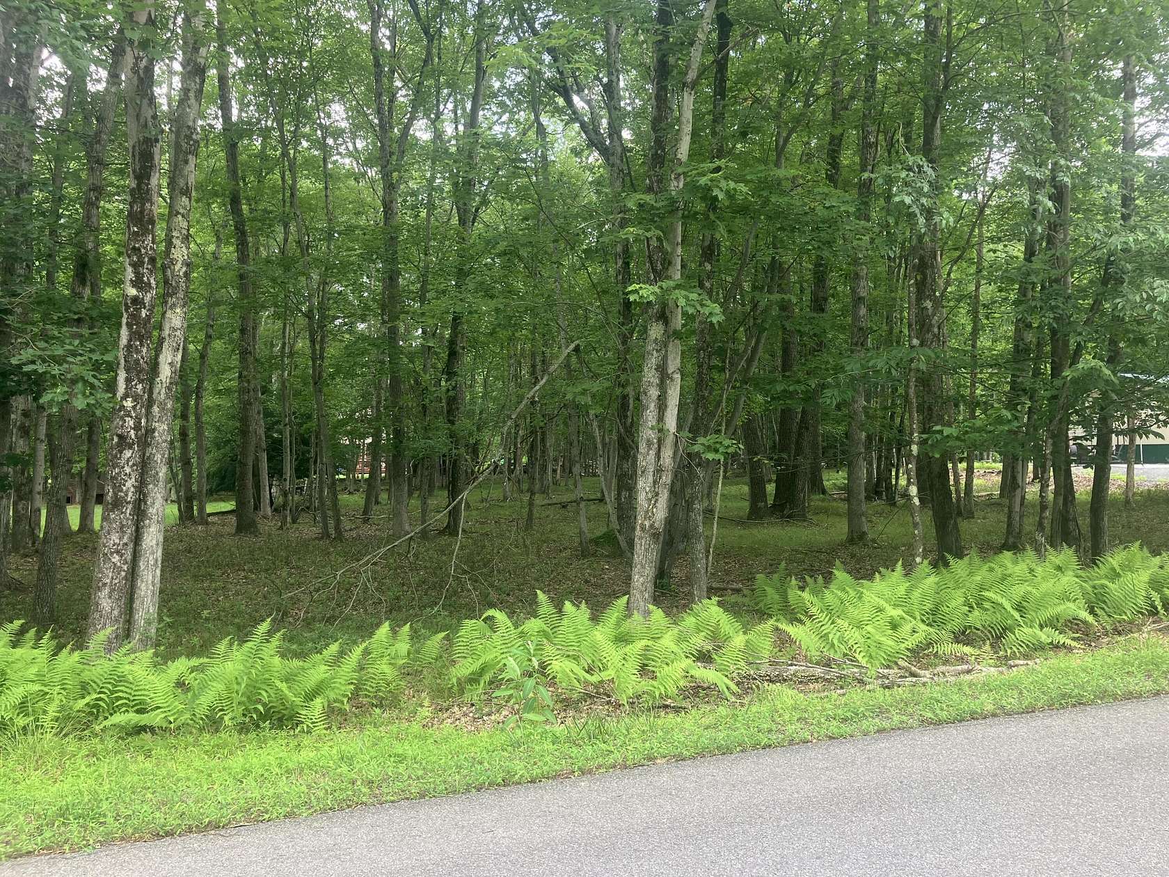 0.45 Acres of Residential Land for Sale in Albrightsville, Pennsylvania