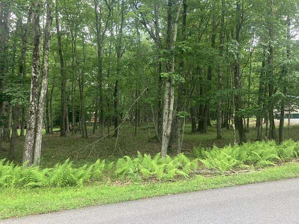 0.45 Acres of Residential Land for Sale in Albrightsville, Pennsylvania