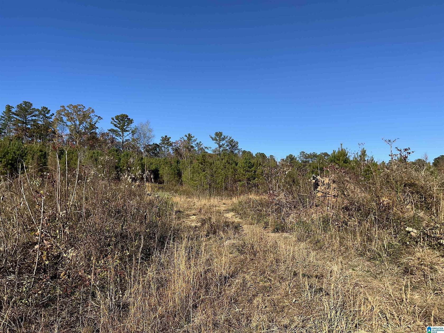 17 Acres of Commercial Land for Sale in Wilsonville, Alabama