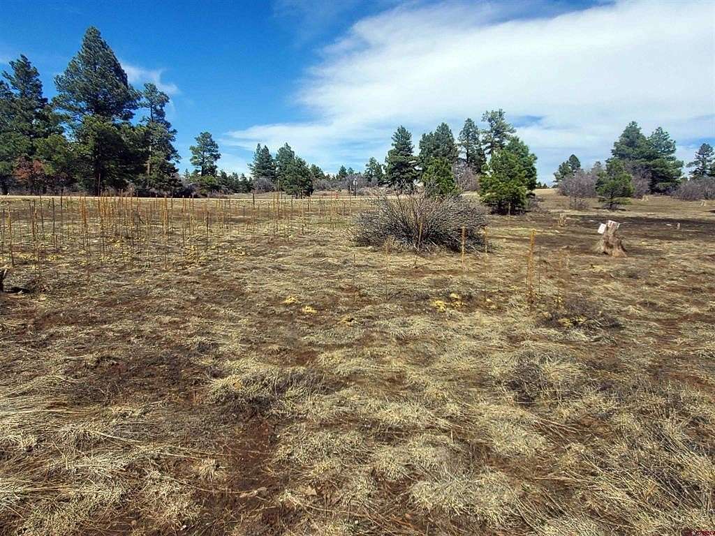 0.23 Acres of Residential Land for Sale in Pagosa Springs, Colorado