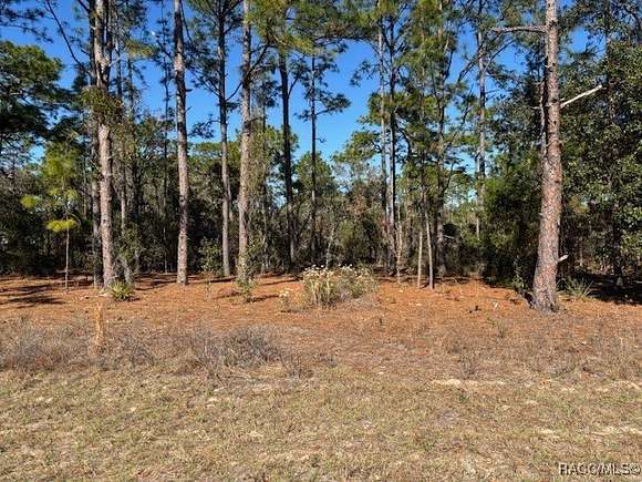 0.5 Acres of Residential Land for Sale in Citrus Springs, Florida