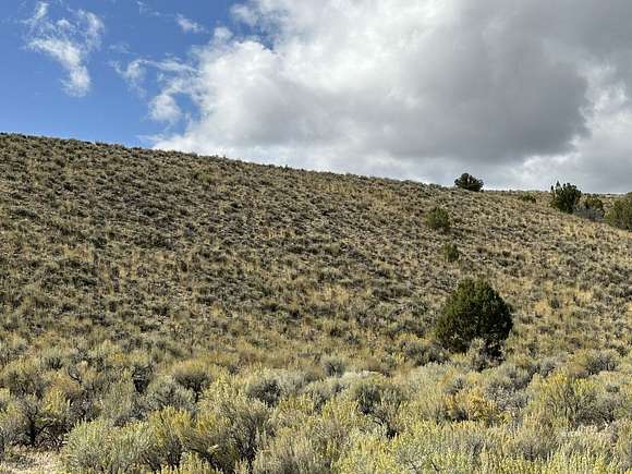 40 Acres of Recreational Land for Sale in Montello, Nevada