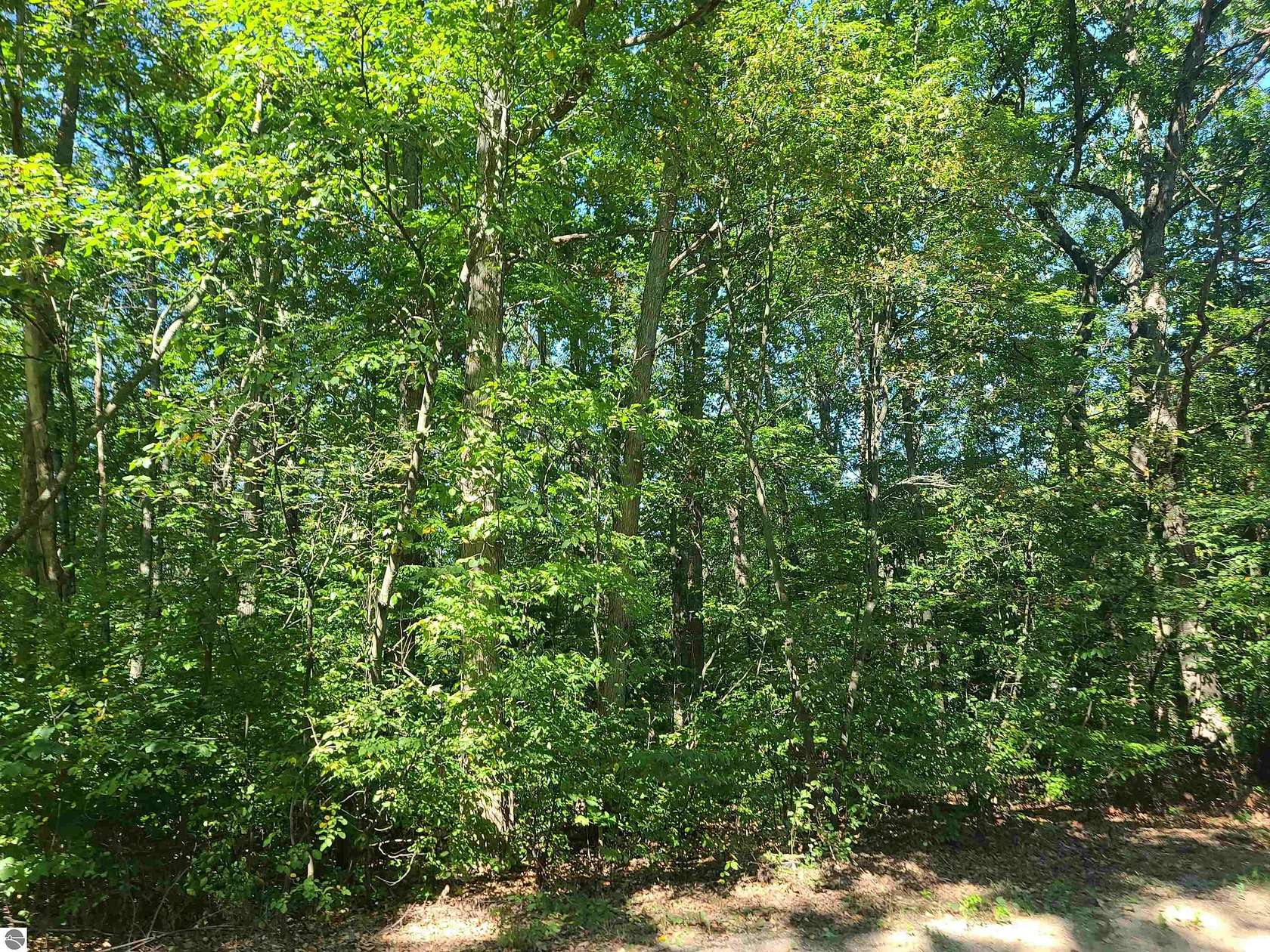 0.27 Acres of Land for Sale in Fife Lake, Michigan