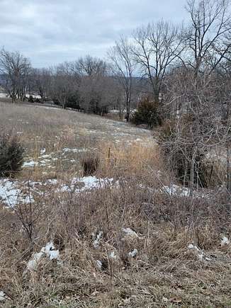 39.82 Acres of Agricultural Land for Sale in St. Charles, Iowa