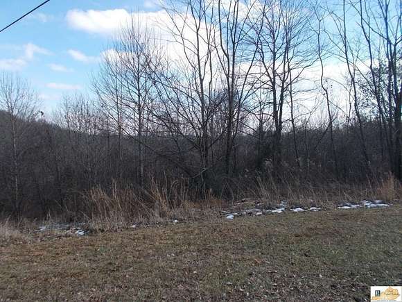 40.37 Acres of Recreational Land for Sale in Tompkinsville, Kentucky