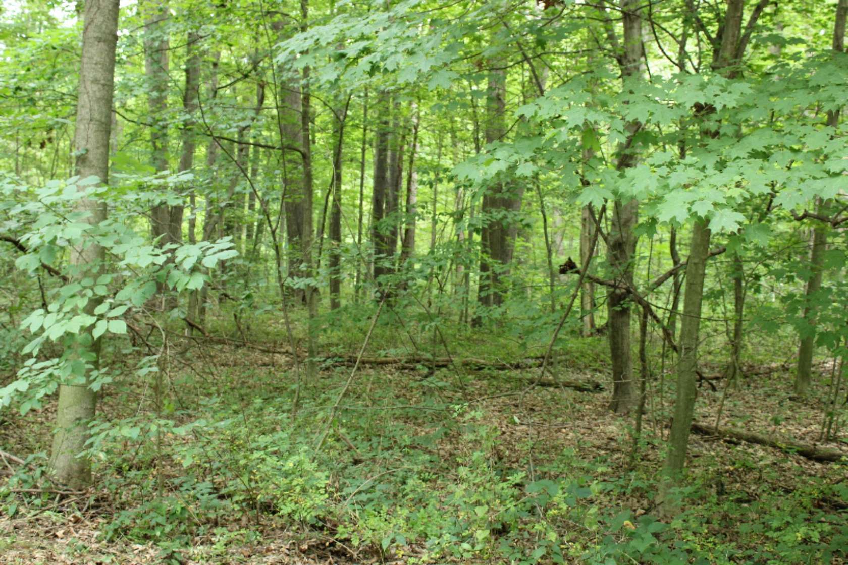 0.89 Acres of Residential Land for Sale in Benton Harbor, Michigan