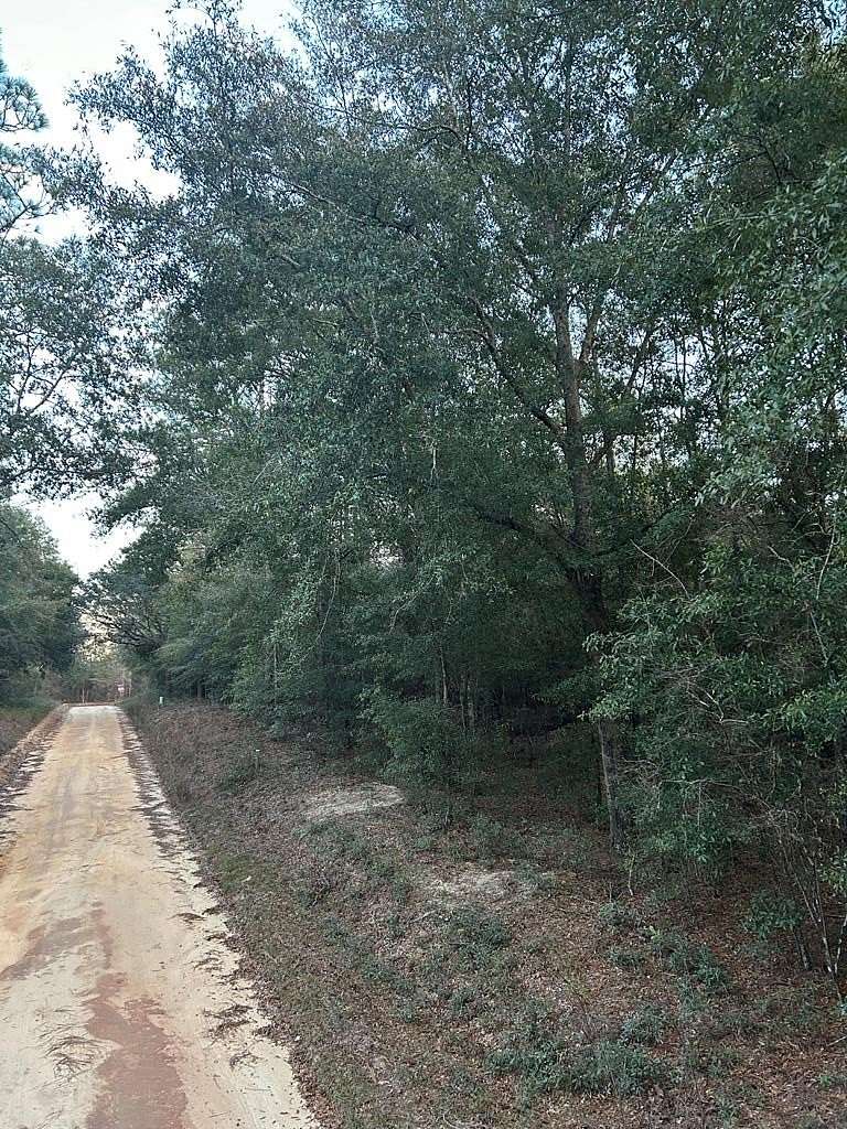 0.78 Acres of Land for Sale in Donalsonville, Georgia