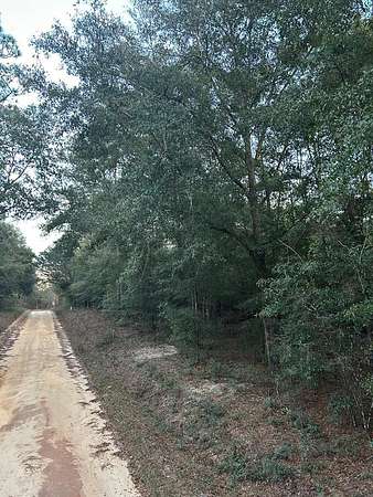 0.78 Acres of Land for Sale in Donalsonville, Georgia