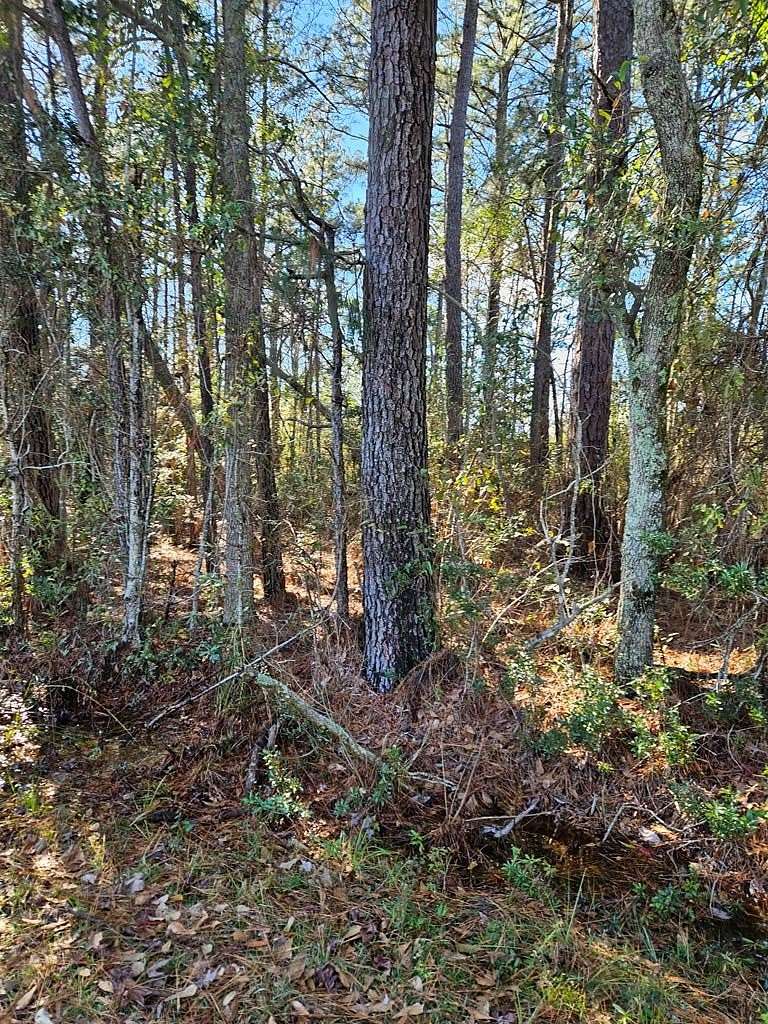 0.72 Acres of Residential Land for Sale in Nicholson, Mississippi