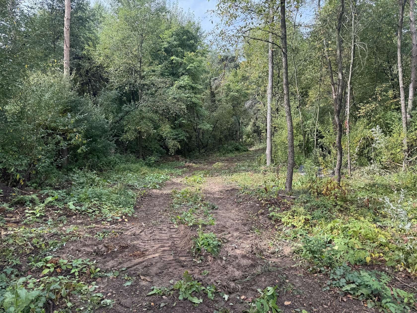 2.7 Acres of Residential Land for Sale in Gobles, Michigan